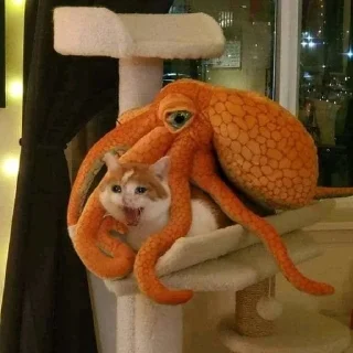 😨