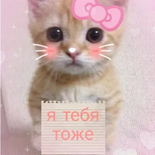😘