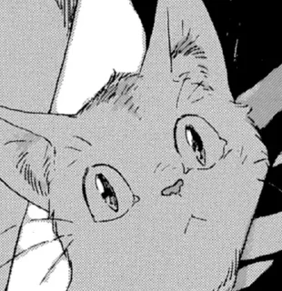 😺
