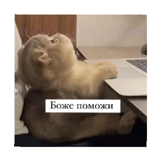 🙏