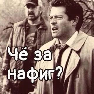 ⁉️