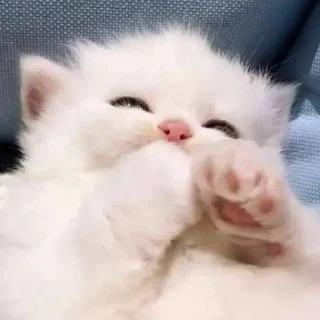 😅