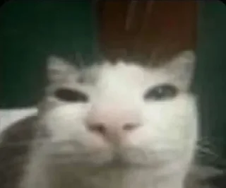 😠