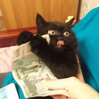 💰