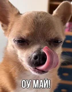 😏