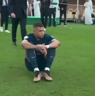 🐢