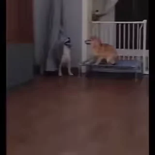😶