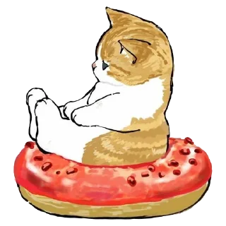 🍩
