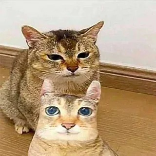 😒