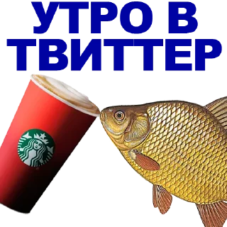 🐠