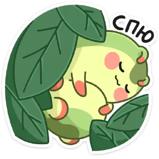 😴
