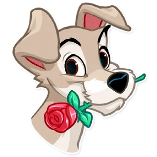 🌹