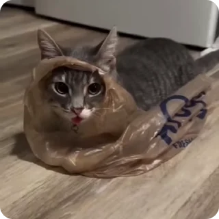 🛍️