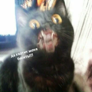 🤬
