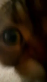 👀