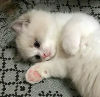 😊