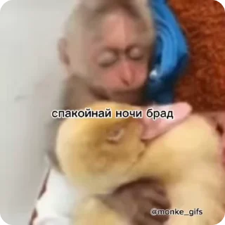 😴