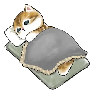 😴