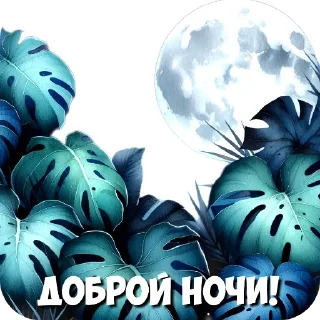 Спокойной ночи от канала @krolichi_lapochki