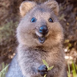 😊