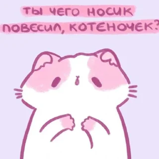 💗