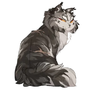🐱