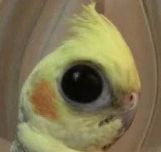👺