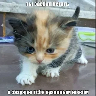 😂