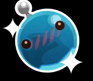 ⭐️