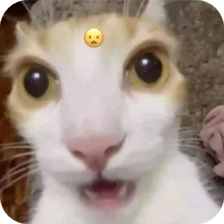 😦