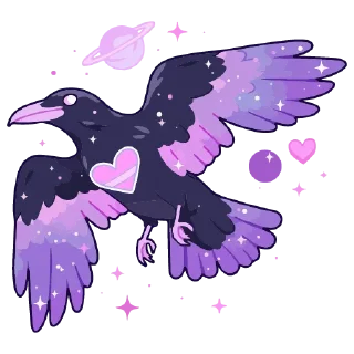 🐦‍⬛️