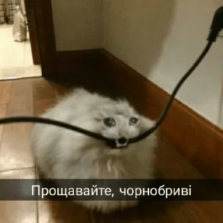 🔫
