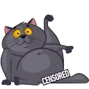 🌚
