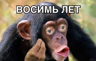 8let