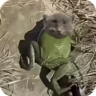 👍