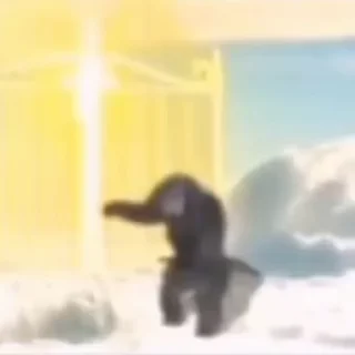 🤩