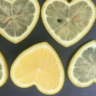 🍋