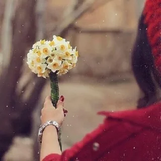 🌸