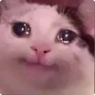 😣