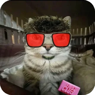 👓