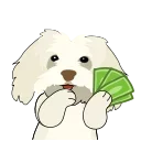 💵