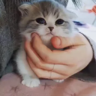 ☺️