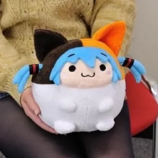 🐱