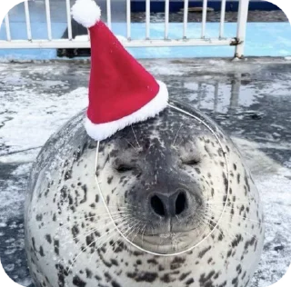 🎅