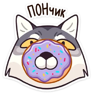 🍩