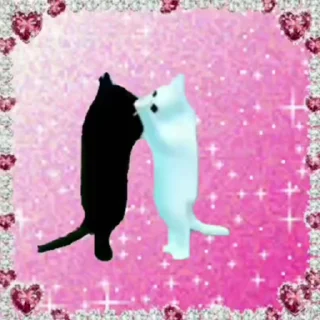 🐱