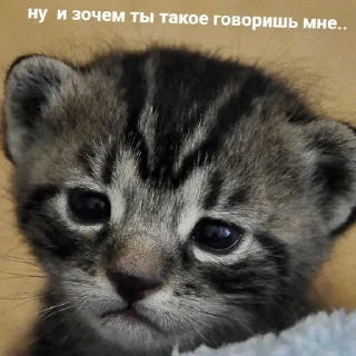 😥