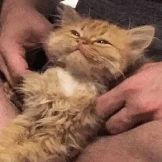 😊
