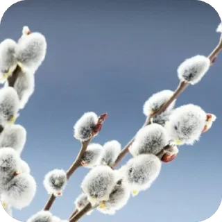 ☁️