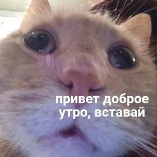 🥰